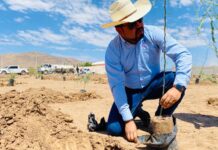 Arranca proyecto para creación de bosque urbano en Sacramento