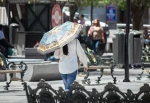 Vuelven días calurosos, máximas de 33°C para esta semana