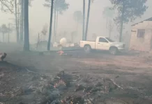 Establece Protección Civil medidas preventivas en Bocoyna ante propagación de incendio forestal