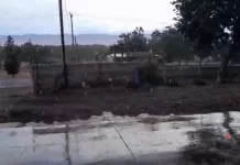 Actualiza Coordinación Estatal de Protección Civil reporte de daños por fuertes lluvias en el estado