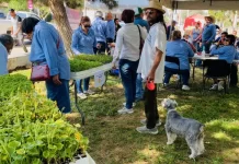 Realizan segunda entrega de plántulas y semillas de hortaliza