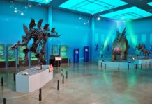 Invita Cultura a visitar el Museo del Desierto Chihuahuense