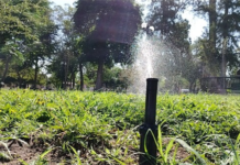 Rehabilita Municipio sistema de riego en 10 parques