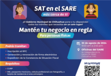Tramita las licencias y permisos necesarios para tu negocio con programa SAT en el SARE