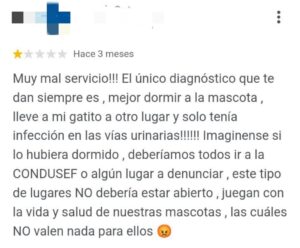 denuncia 3