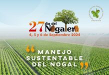 Invitan a la 27° edición del Día del Nogalero en Delicias