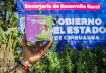 Entrega Desarrollo Rural árboles y semillas de hortaliza en Bocoyna