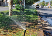 Instala Municipio sistema de riego en camellón de avenida las águilas