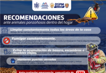 Piden bomberos tener cuidado con animales ponzoñosos dentro del hogar