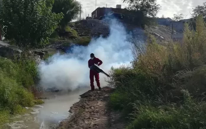 Acciones contra el dengue