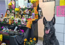 Con un altar en Comandancia Norte, reconoce grupo K-9 a cinco caninos fallecidos recientemente