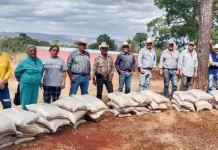 Entregan más de 200 apoyos agrícolas a familias de Moris