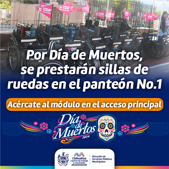 sillas de ruedas