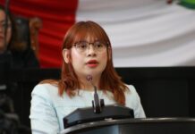 Busca diputada Argüelles castigar con cárcel la zoofilia