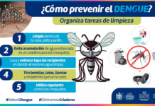 Invita IMPE a derechohabientes y comunidad en general a tomar medidas preventivas contra el dengue