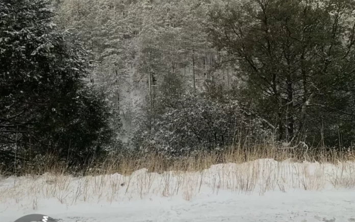 frío clima. nieve