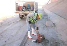 Trabajan en limpieza al interior del canal Chuviscar