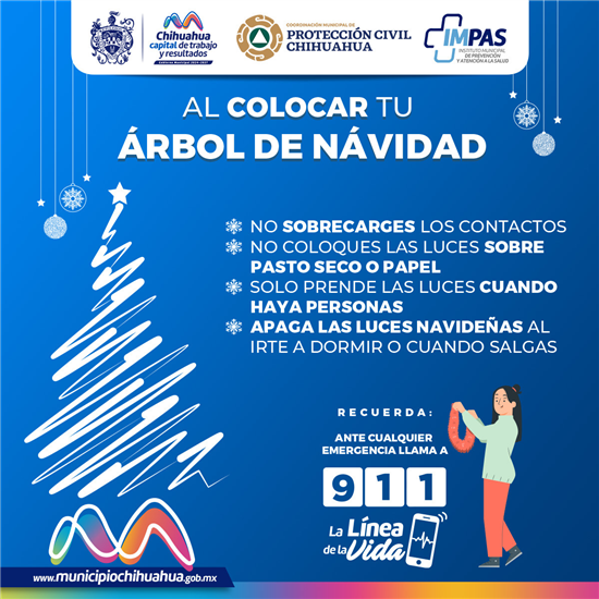 recomendaciones árbol navidad