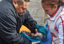 Policías Municipales paramédicos, auxilian a mujer a dar a luz en su domicilio