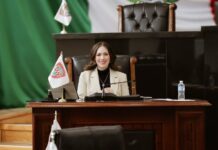 Presenta Alma Portillo iniciativa para combatir la violencia familiar y de género
