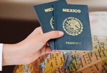Alertan sobre falsas agencias que ofrecen trámites para pasaportes