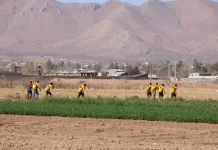 Capacitan a 280 voluntarios para hacer frente a incendios forestales en el estado