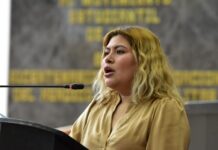Reforman Ley de Seguridad Pública para proteger a las mujeres durante su periodo de gravidez