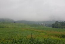 Cuarta tormenta invernal y frente frío 40 mantienen probabilidad de lluvia y viento en la entidad