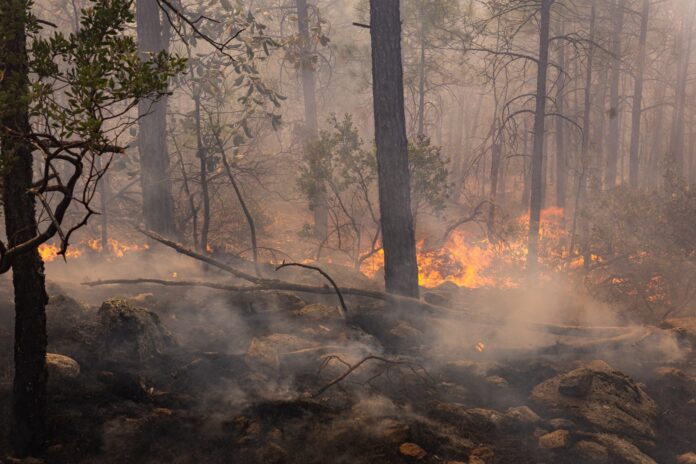 incendio