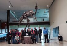 Celebra Museo del Desierto Chihuahuense su 15 aniversario con música y talleres para niñas y niños