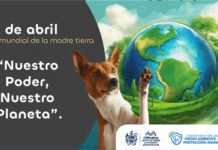 Comparte Municipio recomendaciones para cuidar el medio ambiente desde tu hogar