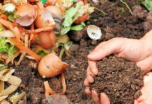 Ofrecen bioinsumos y mejoradores de suelo a productores