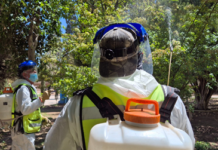 Fumigan espacios públicos de la ciudad para prevenir plagas