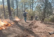 Reportan tres incendios forestales liquidados en las últimas 24 horas*