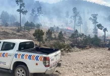 Realizan evaluación de daños tras incendios forestales en Bocoyna