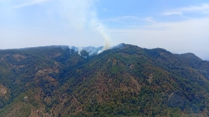 incendio urique