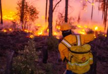 Combaten 138 brigadistas siete incendios forestales activos en cinco municipios