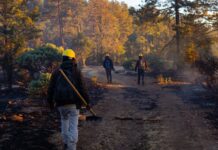 Reportan 13 incendios activos en el estado