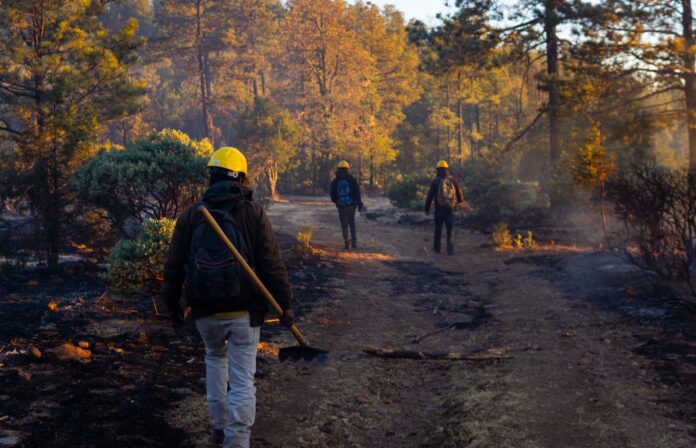 incendios
