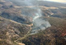 Realiza Protección Civil sobrevuelo de evaluación de incendios forestales