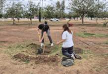 Reforesta Municipio y alumnos del COBACH la Huerta Legarreta