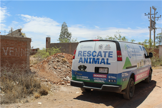 Rescate animal