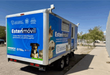 Conoce las fechas para esterilizar a tu mascota en el Esterimóvil de Municipio
