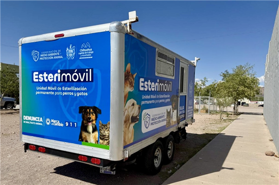 esterimovil