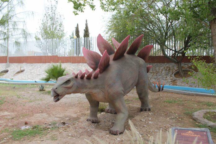 la rodadora museo