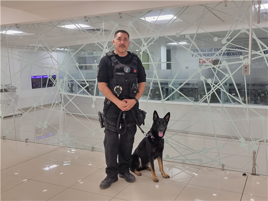 perros k9