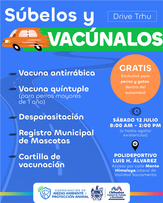 vacunación perritos