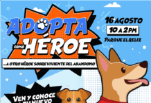 ¡Dales hogar a perros rescatados! Municipio invita a “Adopta como Héroe” en Parque El Reliz