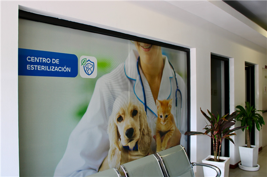 centro de esterilización