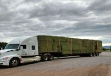 Suma Gobierno del Estado más de 14 mdp en el otorgamiento de créditos emergentes agropecuarios